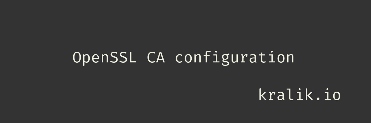 openssl ca openssl ca